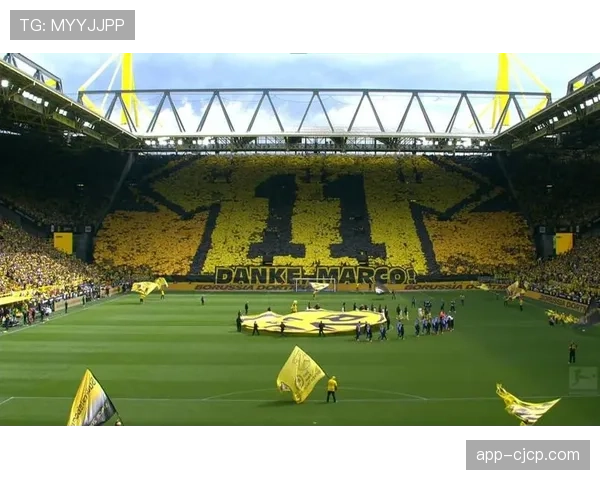 纪录片《威斯特法伦的90分钟》上映,聚焦多特蒙德南看台文化 纪录片《威斯特法伦的90分钟》上映,聚焦多特蒙德南看台文化